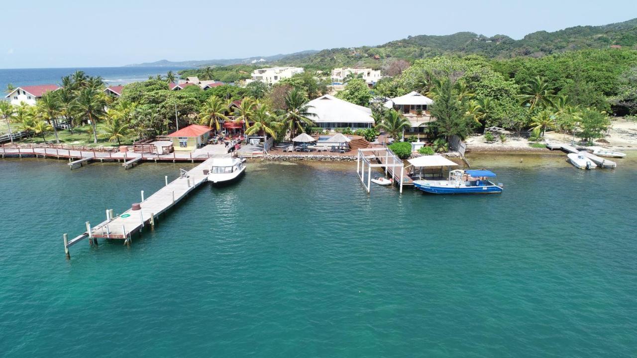 Wikkid Resort Dixon Cove Dış mekan fotoğraf