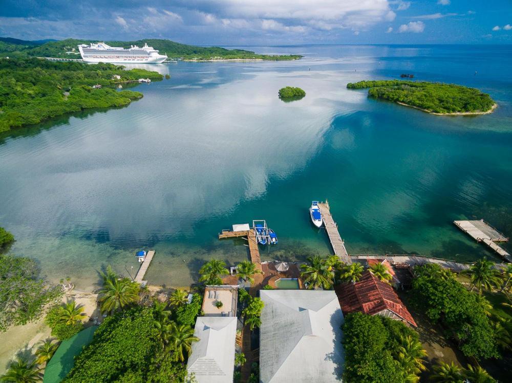 Wikkid Resort Dixon Cove Dış mekan fotoğraf