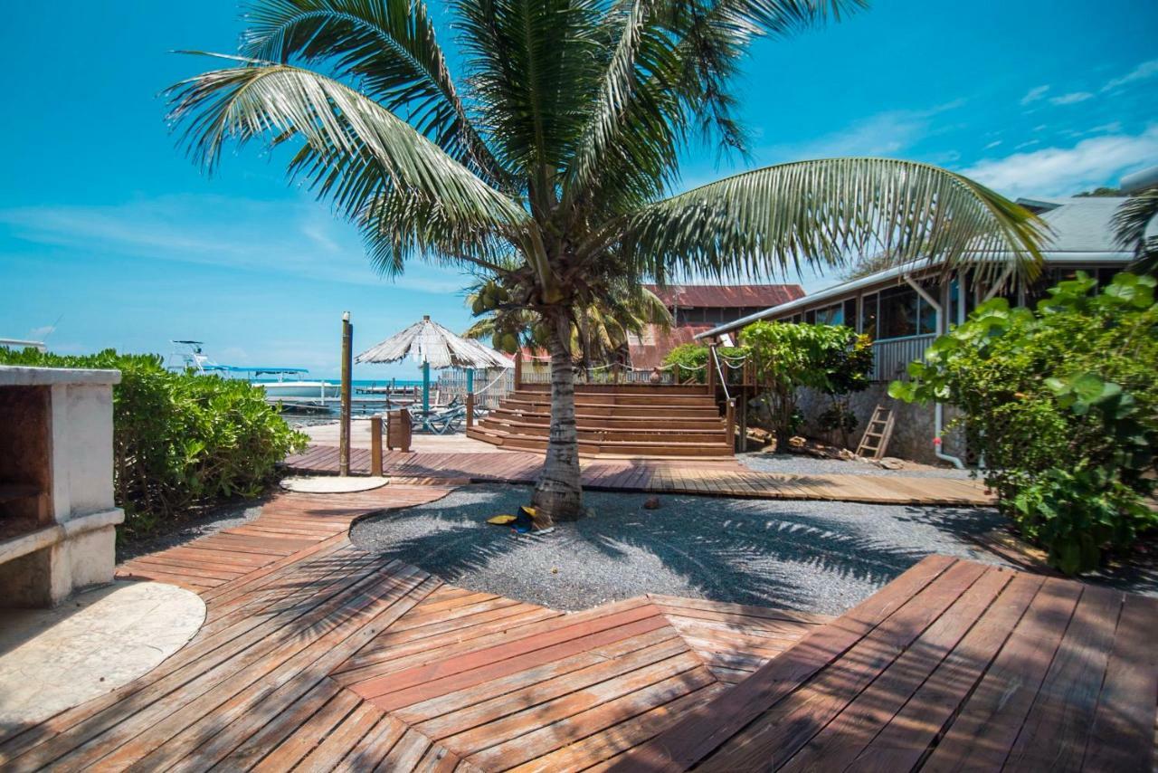 Wikkid Resort Dixon Cove Dış mekan fotoğraf